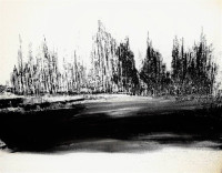 /album/galerie-photos/2-memphis-jpg/